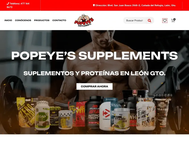 diseñadores web tijuana